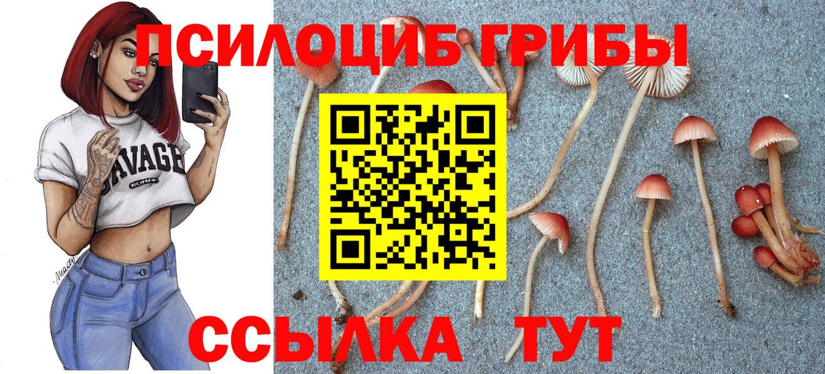 Псилоцибиновые грибы Cubensis Заречный