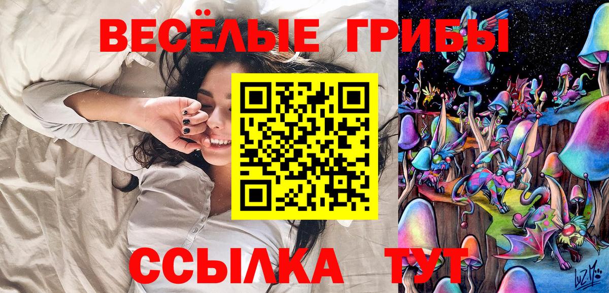 Заречный  Псилоцибиновые грибы мицелий  Вход с VPN 